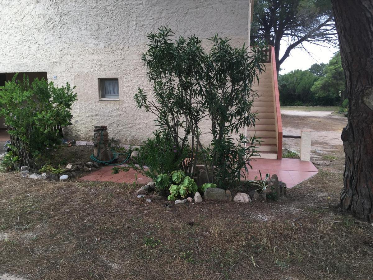 Monolocale A Rena Majore Di Gallura Luaran gambar