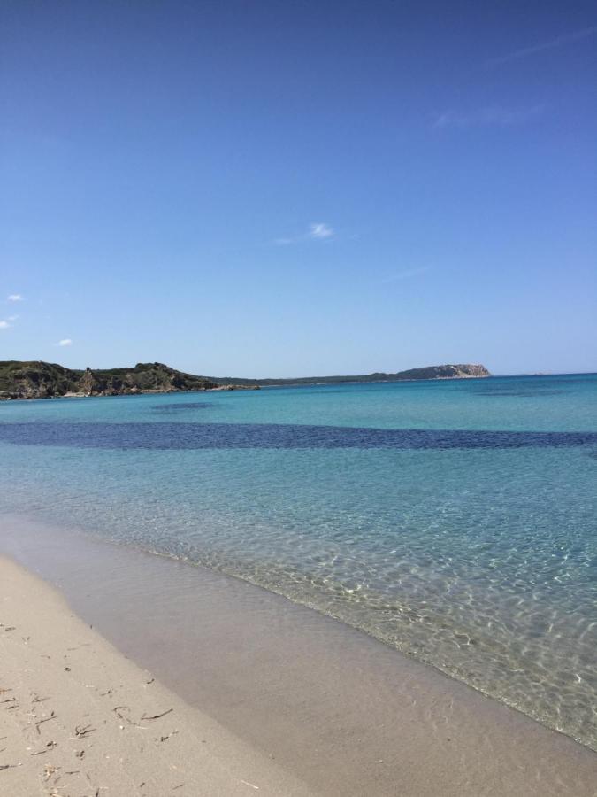 Monolocale A Rena Majore Di Gallura Luaran gambar